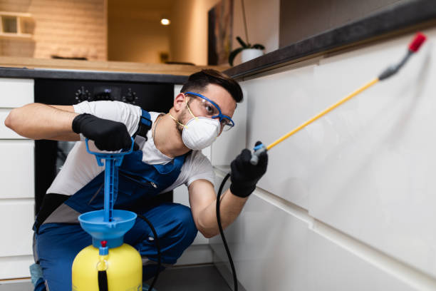 Best Flea Control Services  in Winfield, KS