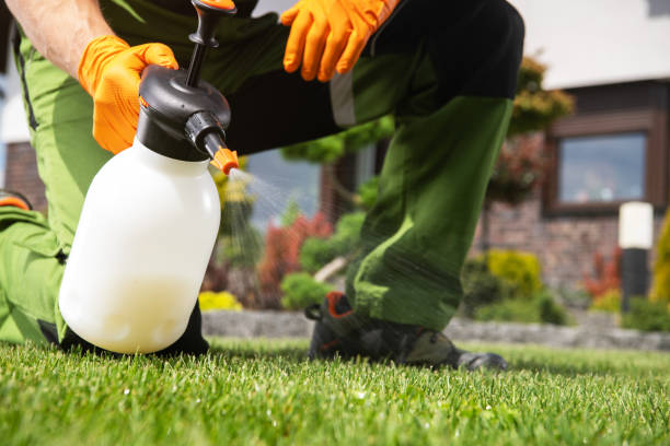 Best Affordable Pest Control Services  in Winfield, KS