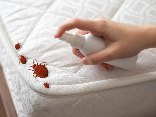 Best Local Pest Control Services  in Winfield, KS