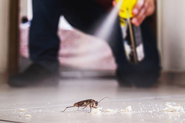 Winfield, KS Pest Control Company